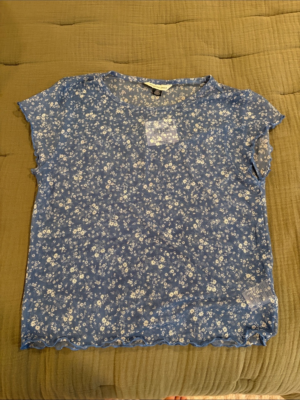 American Eagle Outfitters Mesh Blue Floral Crop Top